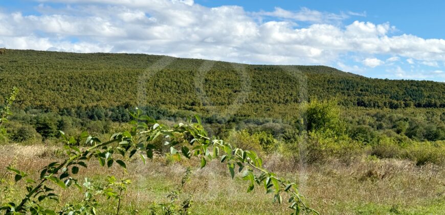 Zrekonštruovaný rodinný dom v obci Füzérkajata